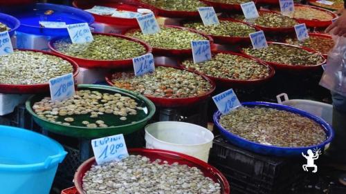Curiosità e aneddoti tra i vicoli di Napoli – esperienza per coppie curiose e appassionati di cultura gastronomica