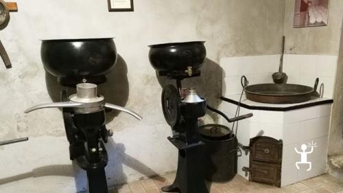 Esperienza in museo del formaggio in Campania per famiglie a Vico Equense