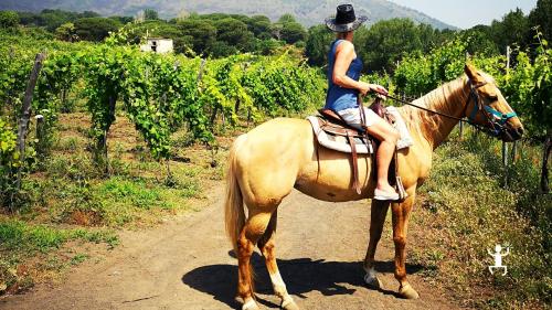 Escursione a cavallo in Campania sul Parco Nazionale del Vesuvio 