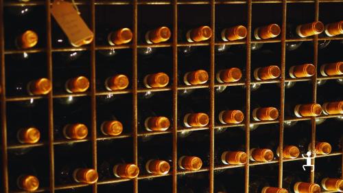 Tour enologico con visita ai vigneti e degustazione in bottaia a Torrecuso perfetto per team building aziendali in Campania