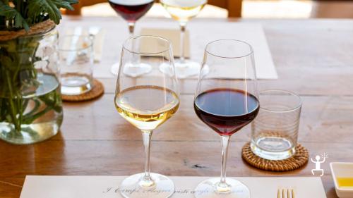 Esperienza in cantina nei Campi Flegrei per gruppi, degustazione interattiva con abbinamenti cibo e vino