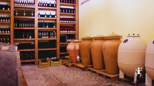 Degustazione di vini dei Campi Flegrei con prodotti tipici campani per gruppi, esperienza gastronomica autentica