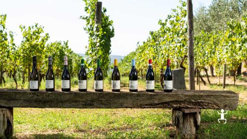 Tour del vino in Campania nei Campi Flegrei per team building, attività enogastronomica ideale per gruppi aziendali