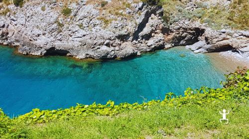 Flora e fauna locale durante il trekking alla Baia di Ieranto, esperienza per coppie e gruppi in Campania