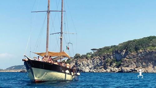 Tour di gruppo isola d'ischia con pranzo incluso e soste nelle calette più belle della campania 