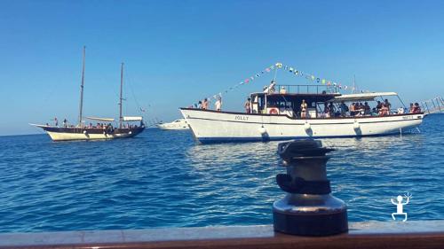 Tour dell'isola d'ischia per gruppi superiori alle 20 persone con pranzo a bordo e vino incluso