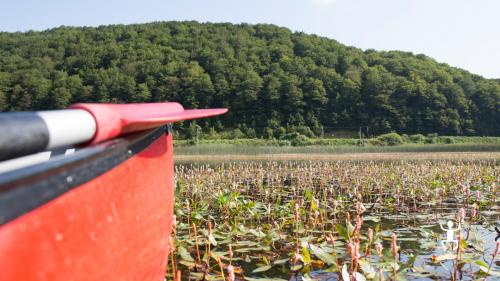 Attività di gruppo in canoa sul lago Matese in Campania nel weekend 