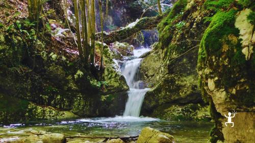 Trekking lungo il Fosso del Cerasiello tra torrenti e boschi incontaminati per gruppi e team building in Campania