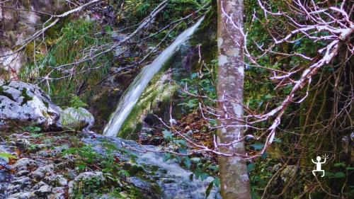 Escursione guidata verso la Grotta Concone delle Rose tra sentieri e natura autentica ideale per gruppi e idee regalo in Campania