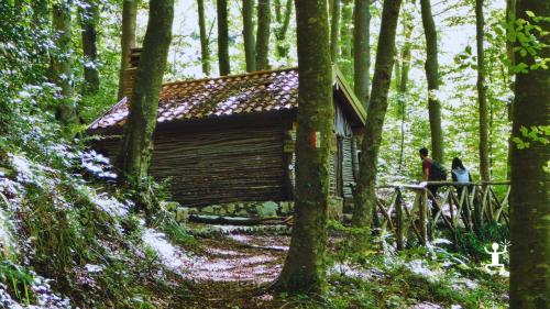 Trekking guidato nei pressi del Lago Matese tra natura incontaminata e paesaggi montani per coppie e gruppi in Campania