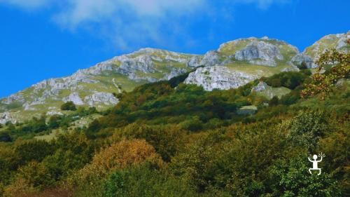Trekking lungo il Fosso del Cerasiello con guida ambientale escursionistica, per gruppi e team building in Campania