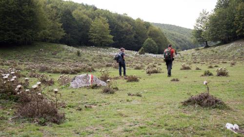 percorso di trekking adatto a tutti da fare sul monte orso e alla piana del pianellone nel parco regionale del matese in campania 