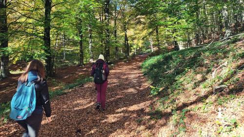 trekking per amanti della natura vicino caserta e napoli nel parco regionale del matese in campania 