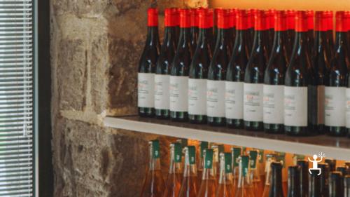 Degustazione guidata di vini biodinamici e biologici a Teano, tra anfore e sapori locali, ideale per coppie e gruppi in Campania