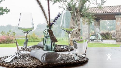 Tour del vino nel casertano tra varietà locali come Falanghina, Aglianico, Fiano e Pallagrello Nero – esperienza per wine lovers 