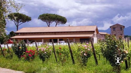 Wine tasting nel cuore dell’Alto Casertano con vini naturali, prodotti locali e paesaggi vulcanici del Roccamonfina