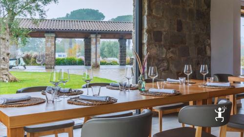 Wine tour tra i vigneti di Teano e degustazione vini naturali, attività ideale per gruppi e coppie in Campania