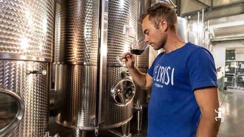 Partecipa a una degustazione guidata da sommelier nel Sannio Beneventano, perfetta per team building e gruppi