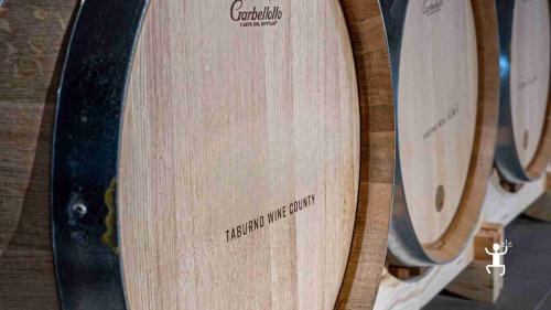 Partecipa a una degustazione a Ponte Benevento con sommelier e vini DOCG del Sannio, perfetta per gruppi