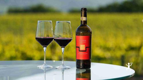 Partecipa a una degustazione nel Sannio Beneventano con sommelier e prodotti tipici, perfetta per team building