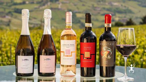 Partecipa a una degustazione Aglianico e Falanghina nel Sannio con sommelier, perfetta per addii al celibato