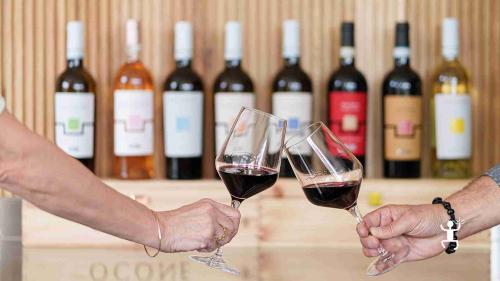 Vivi un’esperienza wine tour a Benevento nel Parco del Taburno con sommelier, ideale per gruppi e team building