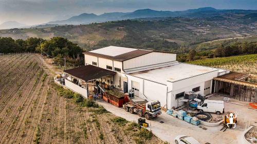 Partecipa a una degustazione Coda di Volpe e Falanghina nel Sannio Beneventano con sommelier, perfetta per team building