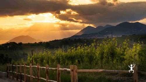 Vivi un’esperienza con Aglianico del Taburno DOCG e Piedirosso a Ponte Benevento, ideale per gruppi e addii al celibato