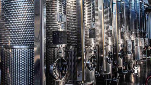 Partecipa a una degustazione vini nel Parco del Taburno a Benevento, perfetta per coppie e team building